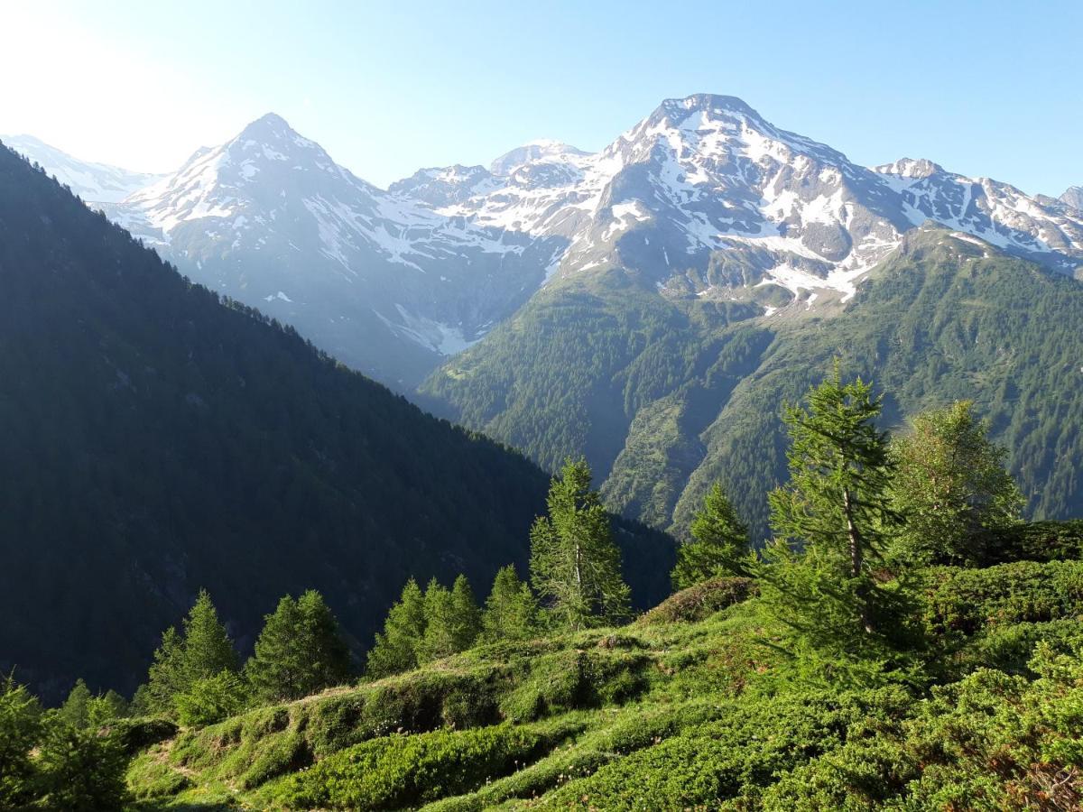 Chalet Bietschhorn Rosswald Termen Bagian luar foto