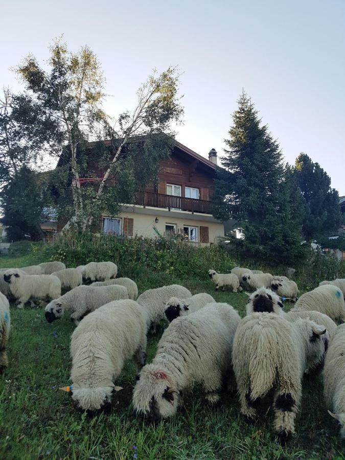 Chalet Bietschhorn Rosswald Termen Bagian luar foto